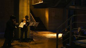 violines2